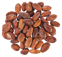 pngimg.com - cacao_PNG2